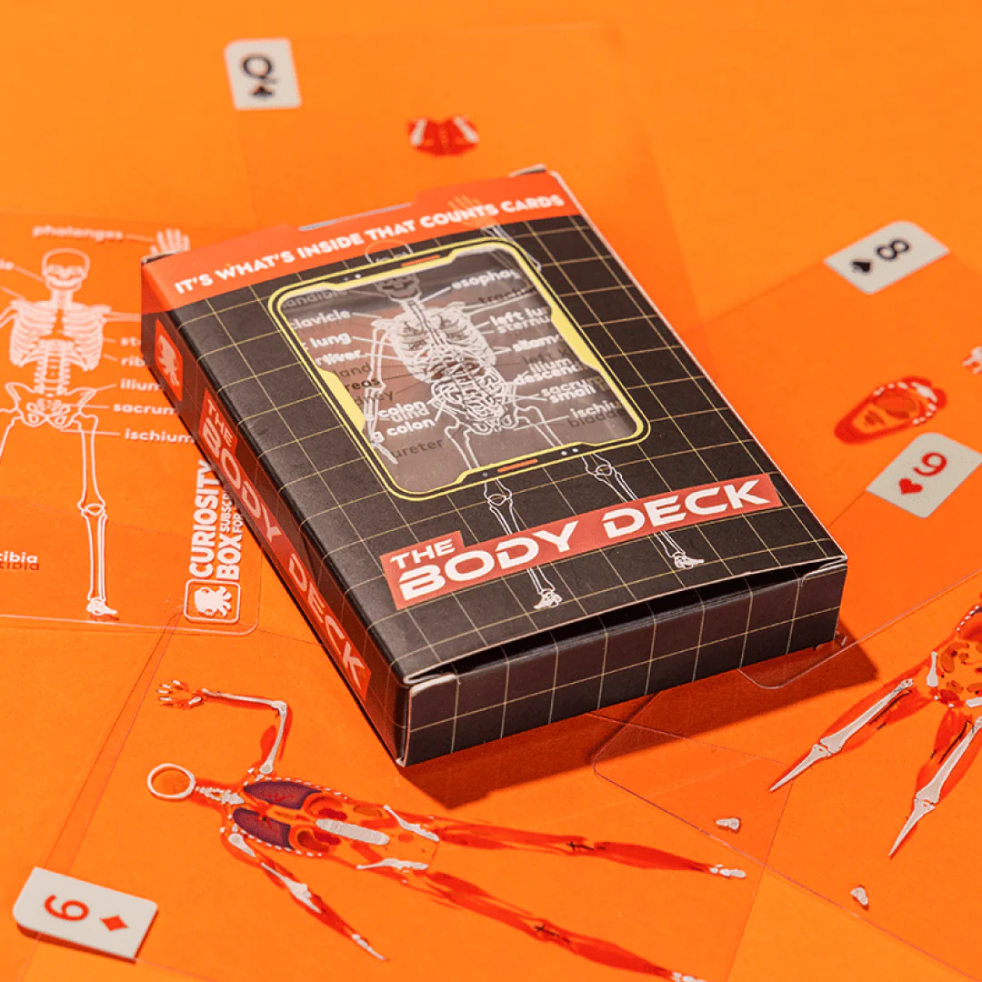 Body Deck Promo